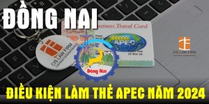 (Tiếng Việt) Điều kiện làm thẻ APEC tại Đồng Nai năm 2024