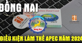 Điều kiện làm thẻ APEC tại Đồng Nai năm 2024