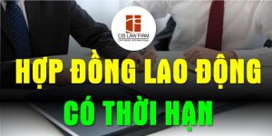 (Tiếng Việt) Hợp đồng lao động có thời hạn