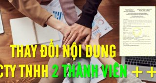 (Tiếng Việt) Thủ tục thay đổi nội dung đăng ký kinh doanh của Công ty TNHH hai thành viên trở lên năm 2024