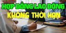 (Tiếng Việt) Hợp đồng lao động không thời hạn