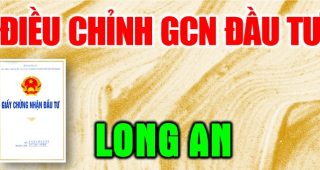 (Tiếng Việt) Thủ tục điều chỉnh giấy chứng nhận đầu tư tại Long An 2024