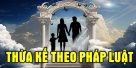 (Tiếng Việt) Thừa kế theo pháp luật là gì? Quy định của pháp luật về thừa kế theo pháp luật