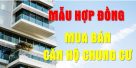 Hợp đồng mua bán căn hộ chung cư