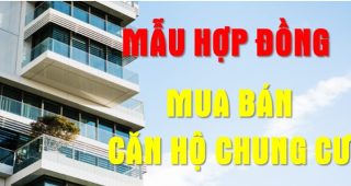 Hợp đồng mua bán căn hộ chung cư