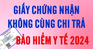 Thủ tục xin giấy chứng nhận hưởng 100% bảo hiểm y tế năm 2024