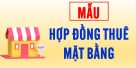 Mẫu hợp đồng thuê mặt bằng