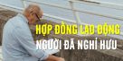 Hợp đồng lao động đối với người đã nghỉ hưu